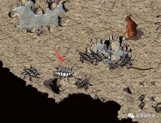 邪恶钳虫